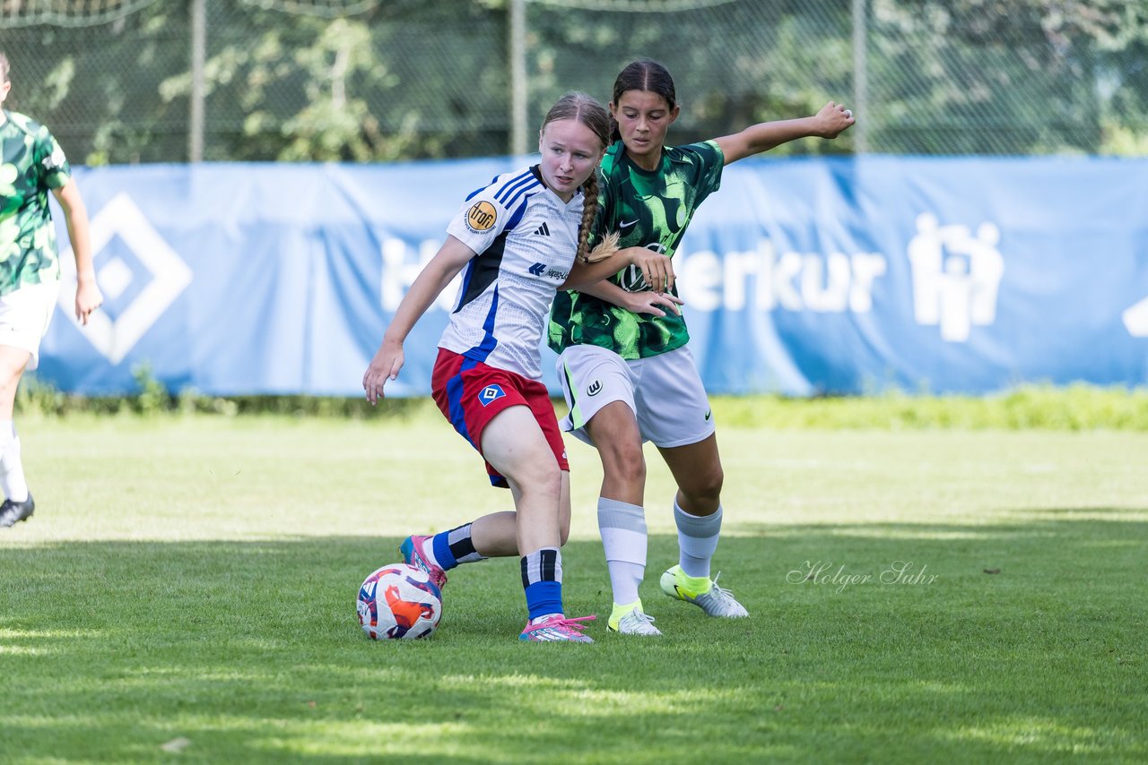 Bild 288 - wBJ Hamburger SV - VfL Wolfsburg : Ergebnis: 5:1